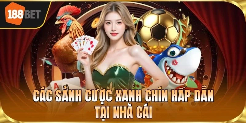 Các sảnh cược xanh chín hấp dẫn tại nhà cái