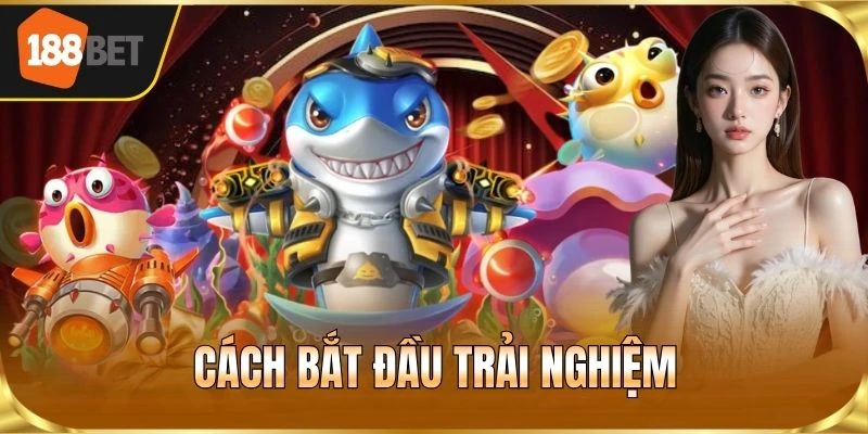 Cách bắt đầu trải nghiệm
