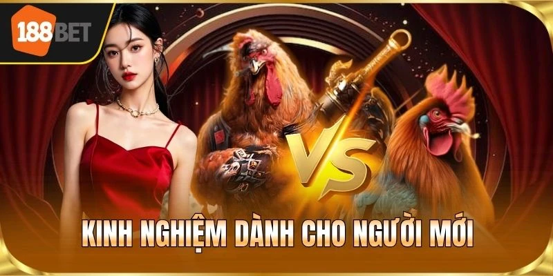 Kinh nghiệm dành cho người mới