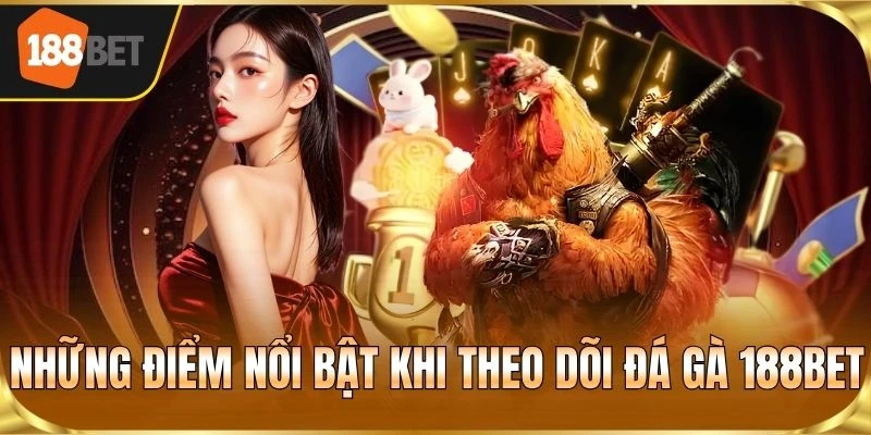 Những điểm nổi bật khi theo dõi đá gà 188BET