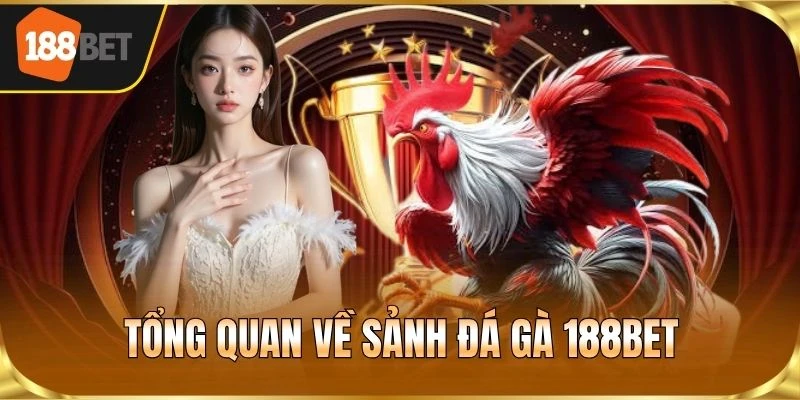 Tổng quan về sảnh đá gà 188BET